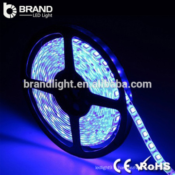 Hot sale single color 30LED / M 3W / M SMD2835 lampe à LED, lampe LED à bon marché